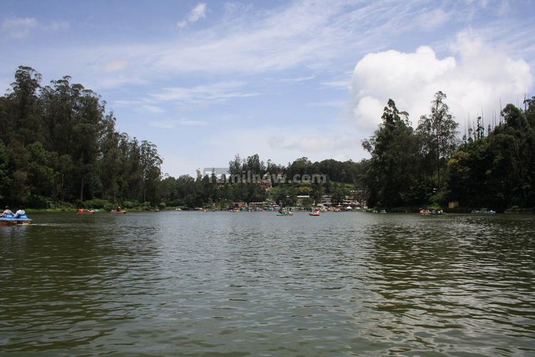 Ooty lake picture 3