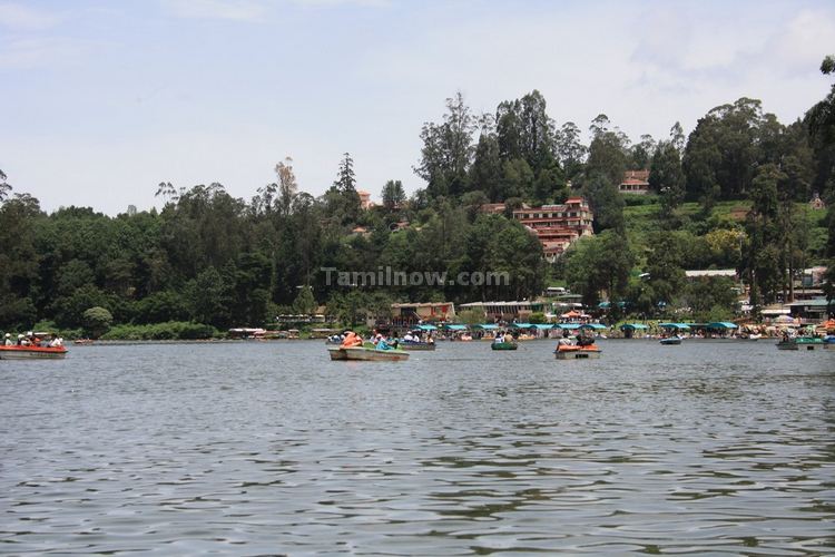 Ooty lake picture 4