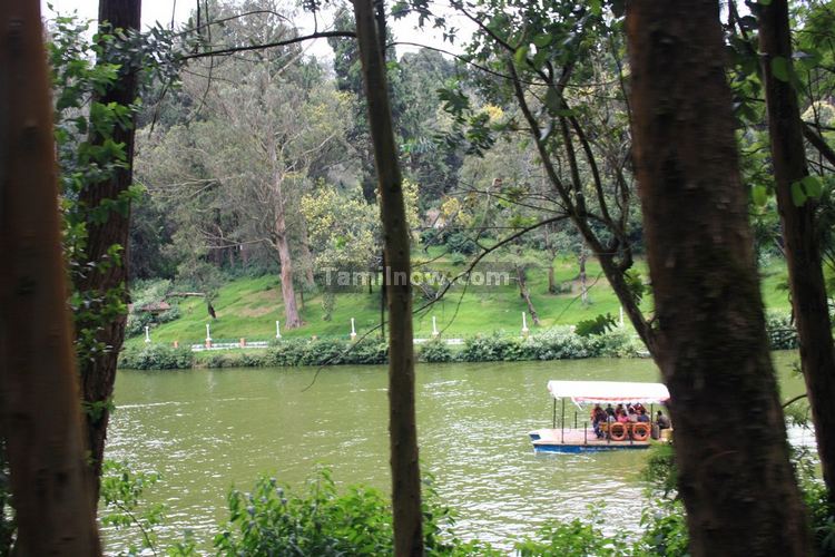 Ooty lake picture 7