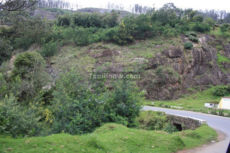 Hair Pin Bends Enroute Ooty photo