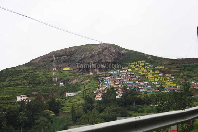 Ooty Tea Plantations photo