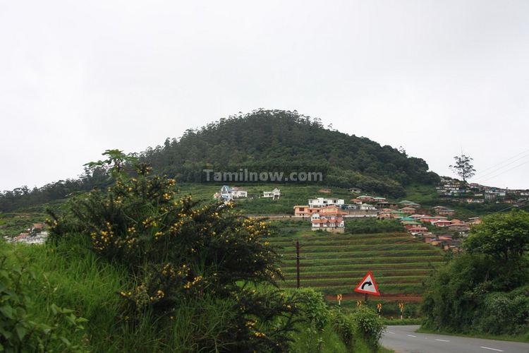 Nilgiri Mountains