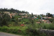 Ooty picture 10