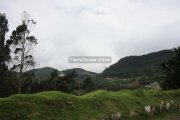 Ooty picture 12