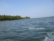 Sea view from chunnambar lake