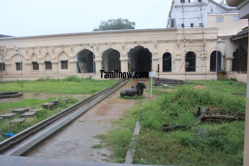 Thanjavur palace courtyard photo 95