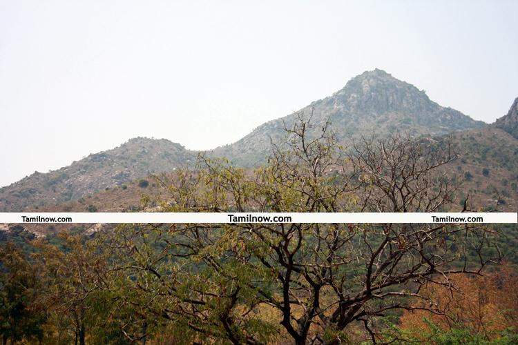 Tiruvannamalai hills 2