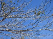 Beautiful blue sky