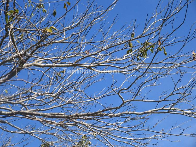 Beautiful Blue Sky