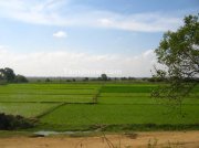 Fields on other side of sanctury