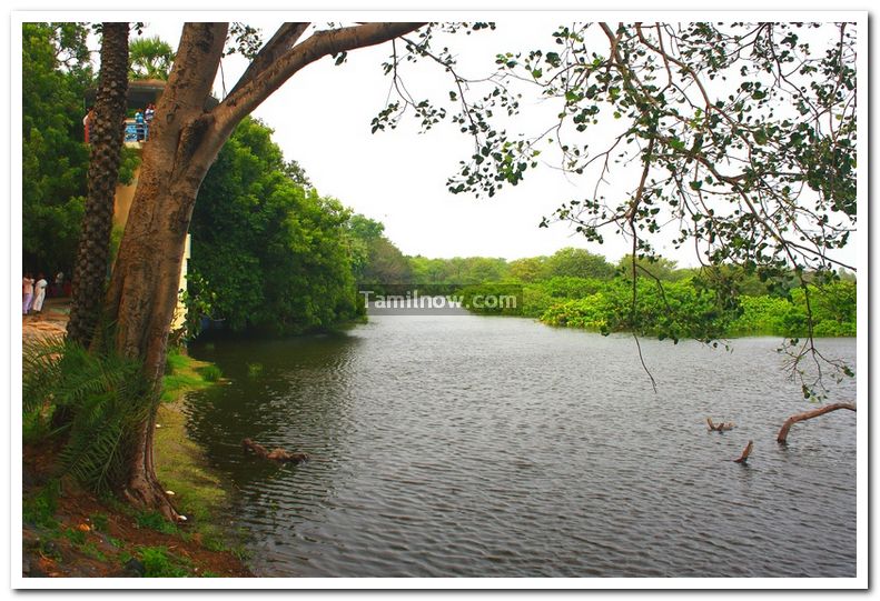 Lake flows through vedantangal