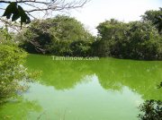 Lake near vedanthangal