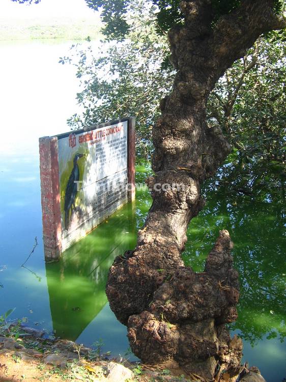 Sign board inside the water at Sanctuary