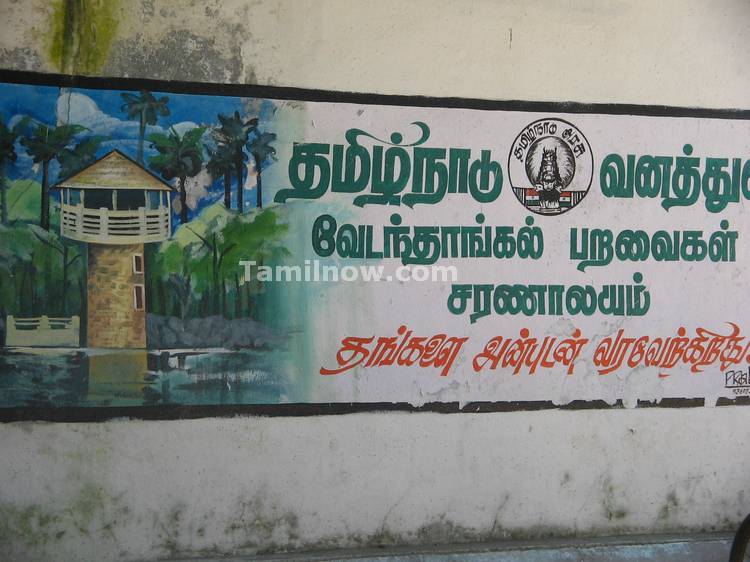 Vedanthangal Bird Sanctuary Ticket Counter