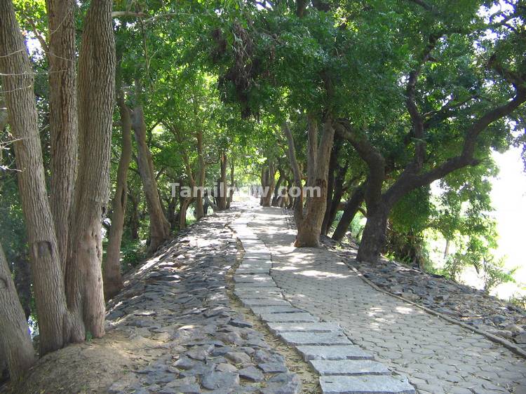 Walk way at Vedantangal Bird Sanctuary