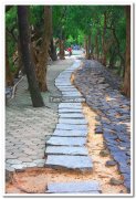 Walkway vedanthangal bird sanctuary