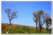 Annamalai temple yercaud view 1