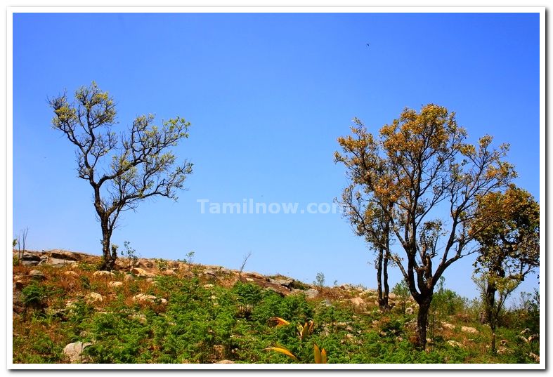 Annamalai temple yercaud view 1