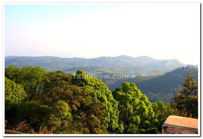 Shevaroy hills yercaud 4