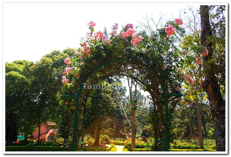 State horticultural farm yercaud 1