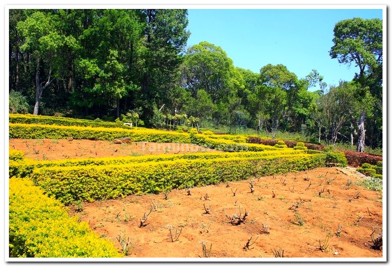 State horticultural farm yercaud 2