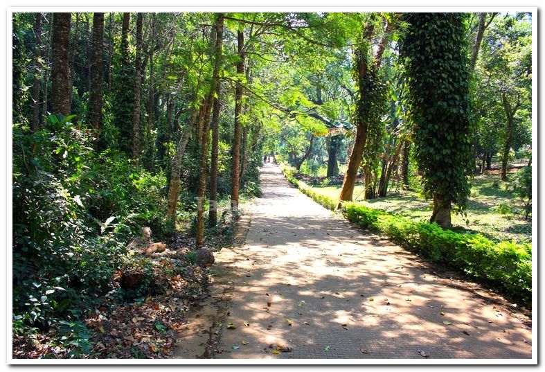 State horticultural farm yercaud 3