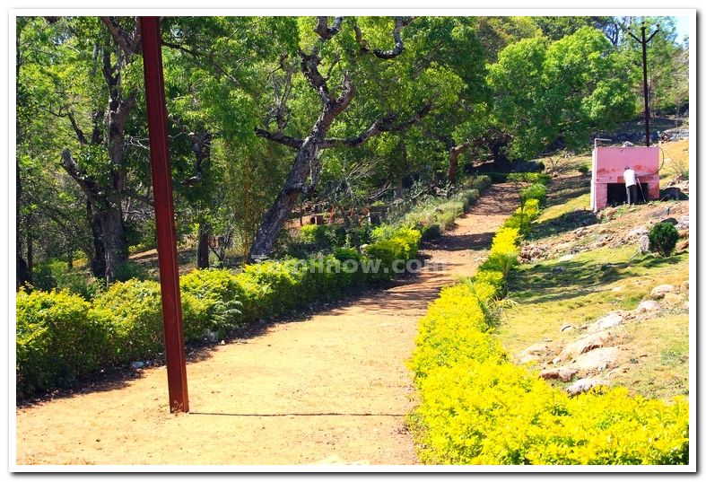 State horticultural farm yercaud 4