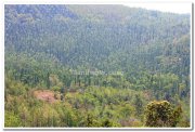 View from annamalai temple yercaud 5