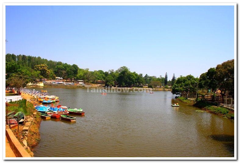 Yercaud lake 2