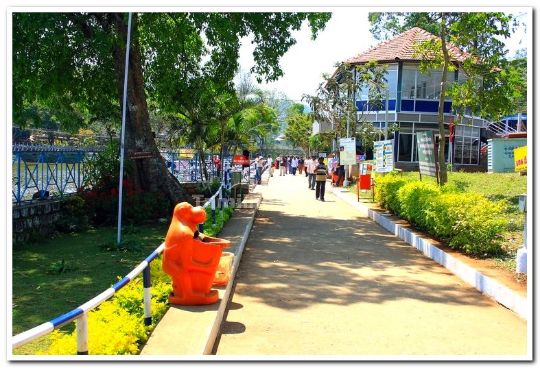 Yercaud park 4