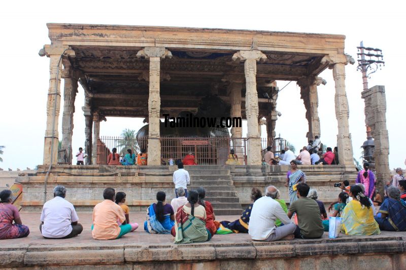 Big statue of nandi at brihadeeswarar temple tanjavur 811