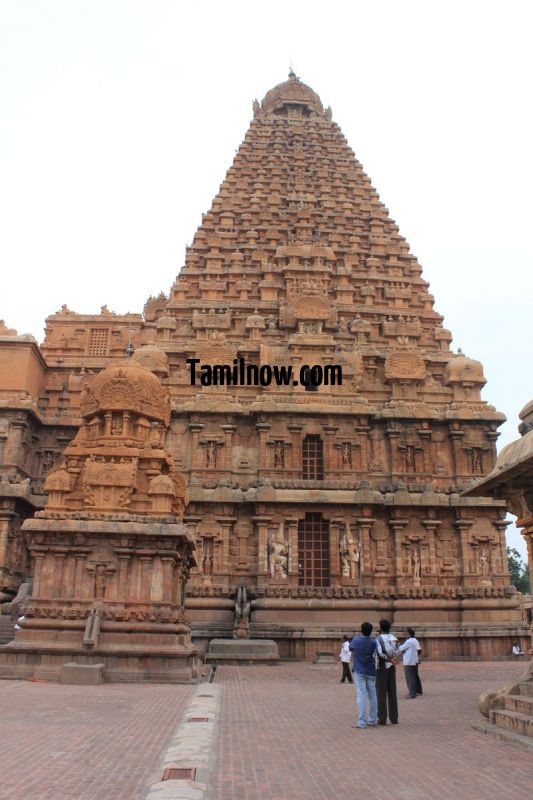Devotees amazed at the tall temple tower of thanjavur periya kovil 123