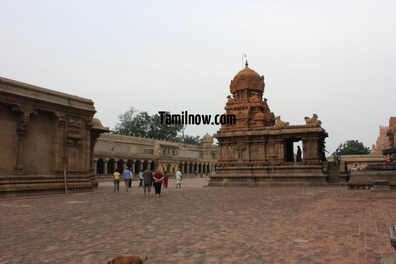 Visitors at brihadeeswarar temple thanjavur 222