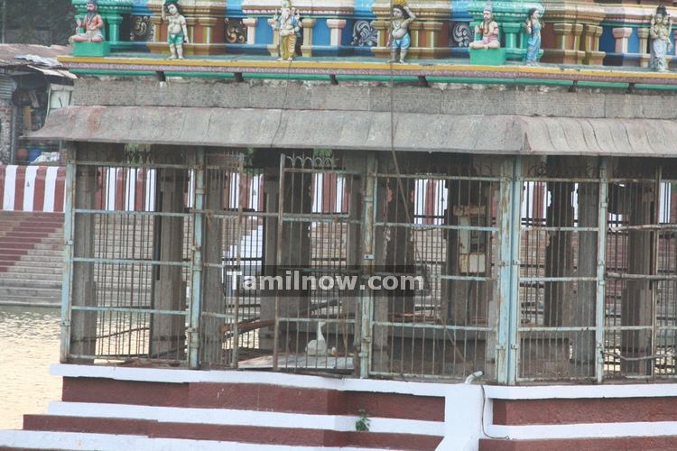 Mylapore temple tank photo 6