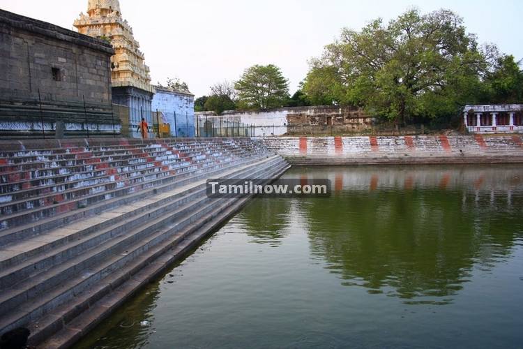 Ekambareswarar temple kanchipuram tank 3