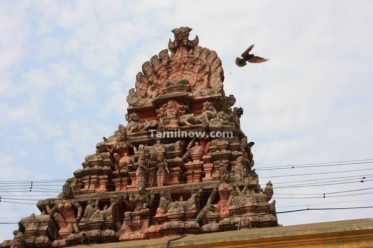Kamatchi amman temple kanchipuram 2