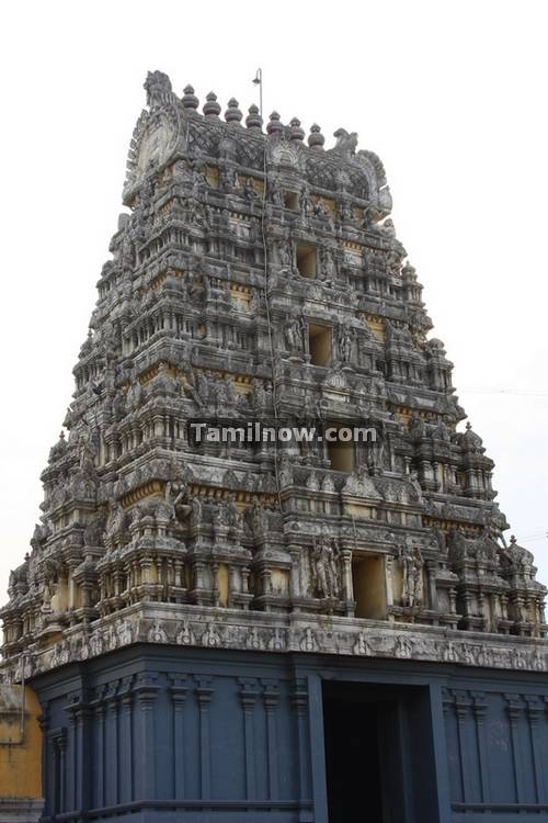 Kamatchi amman temple kanchipuram 3