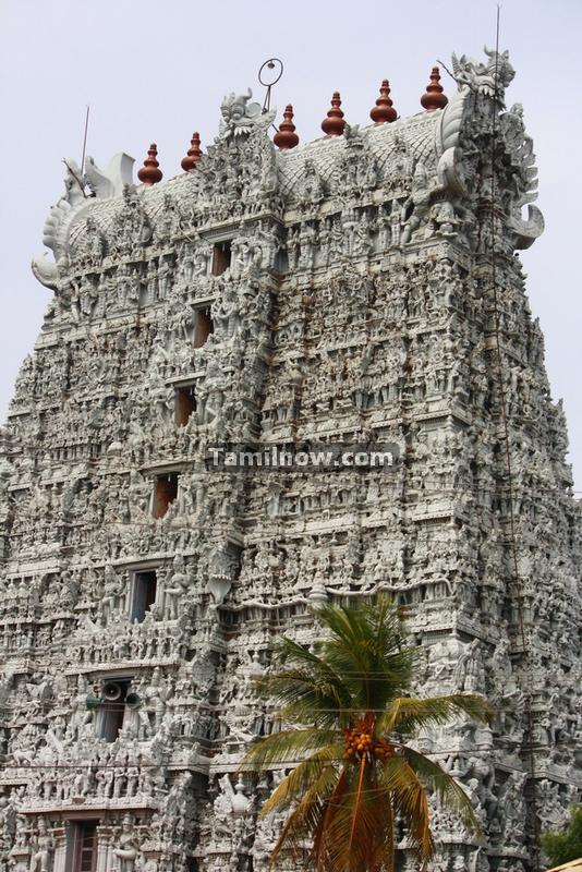 Suchindram temple gopuram photos 2