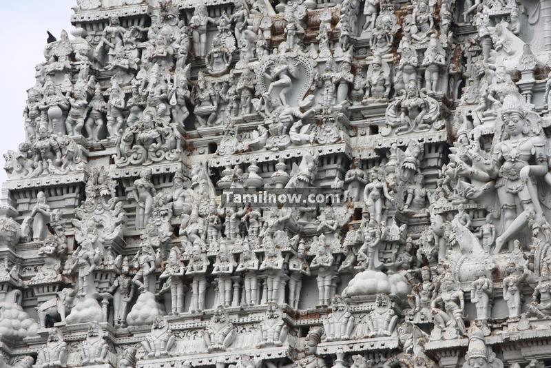 Suchindram temple gopuram photos 8