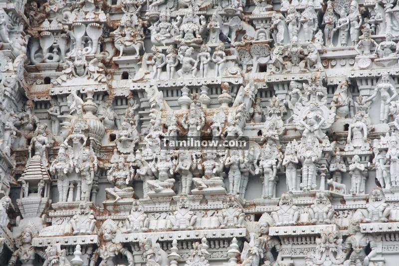 Suchindram temple gopuram photos 9