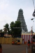 Suchindram temple photos 10