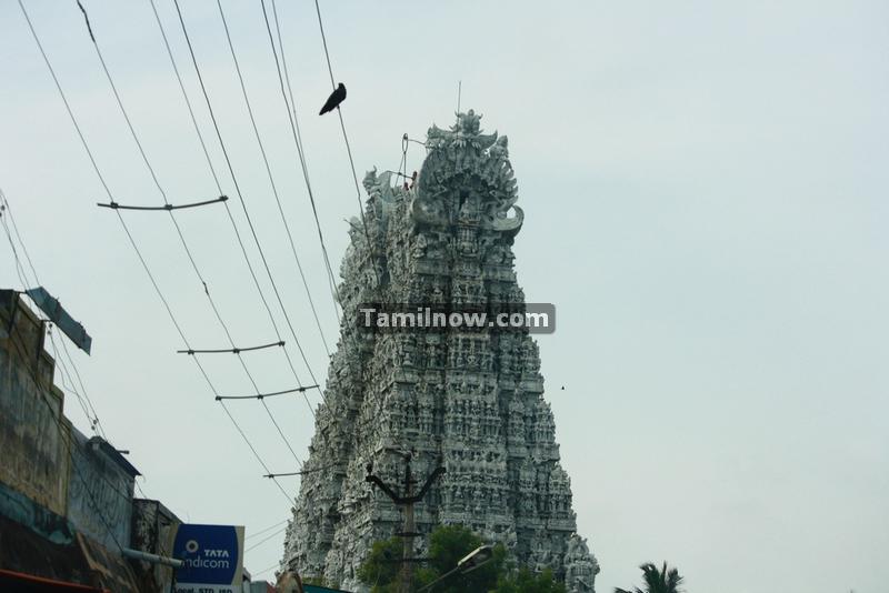 Suchindram temple photos 5
