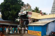 Suchindram temple photos 8