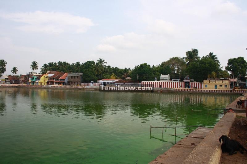 Suchindram temple pond photos 3