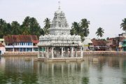 Suchindram temple pond photos 4