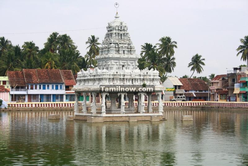 Suchindram temple pond photos 4