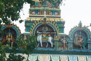Suchindram thanumalayan temple photos 10