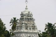 Suchindram thanumalayan temple photos 5