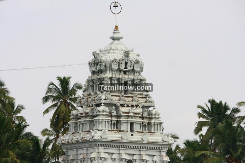 Suchindram thanumalayan temple photos 5
