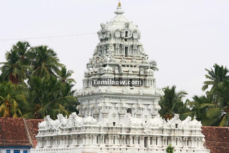 Suchindram thanumalayan temple photos 7